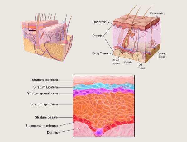 Why Tattoos Peel Off