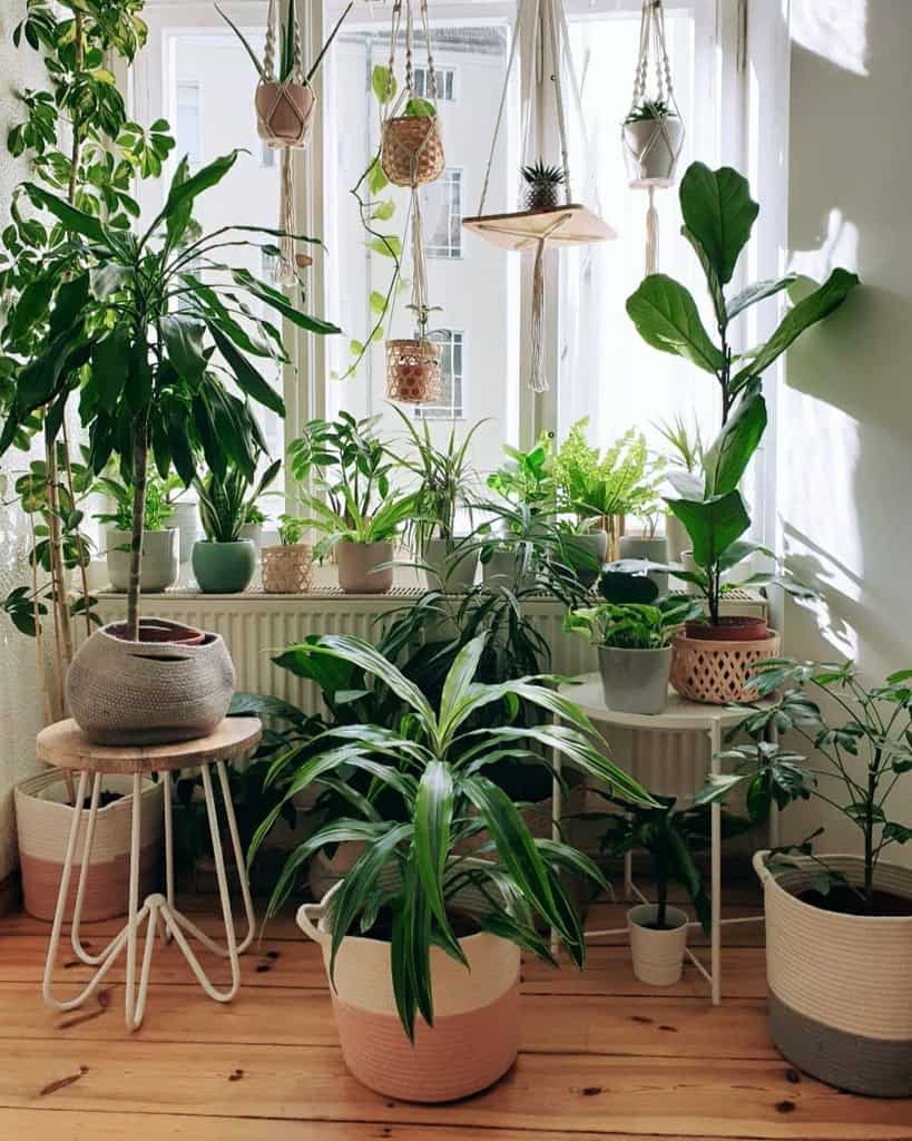 hanging plants and large floor plants small apartment indoor garden 