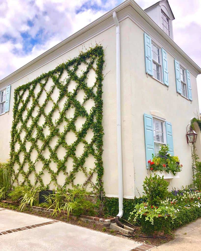 tall wire garden trellis side of house