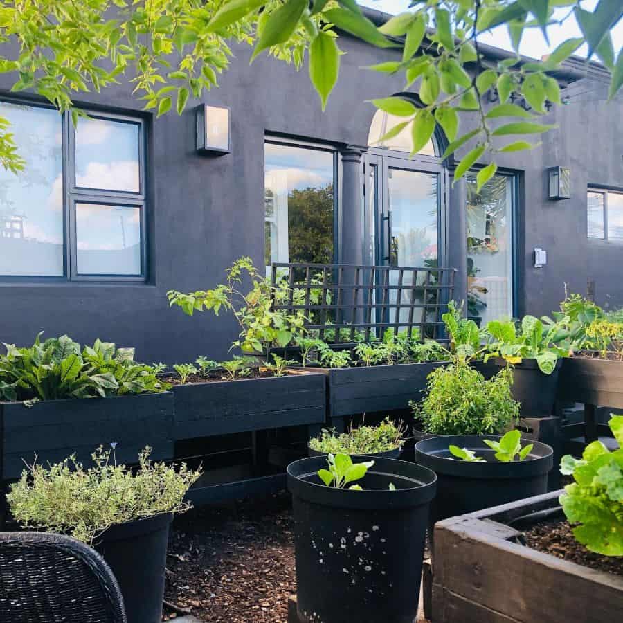 black painted wood garden beds