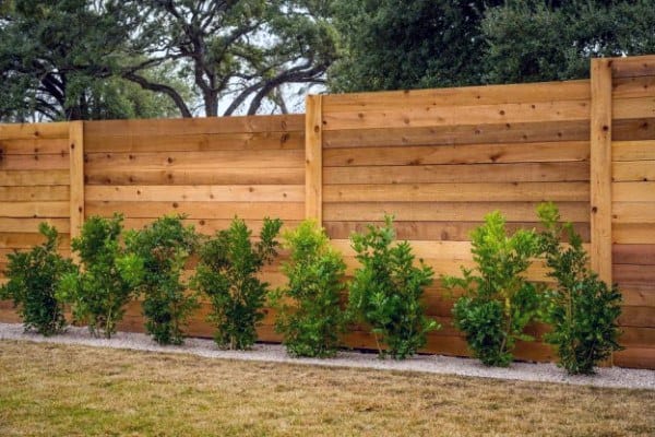 Cedar plank fence with a line of well-maintained shrubs in a landscaped backyard.