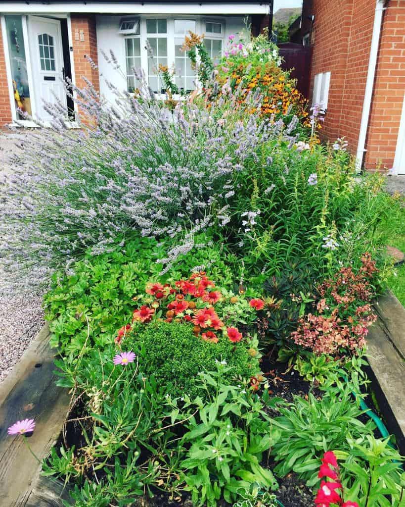 wood flower bed colorful flowers