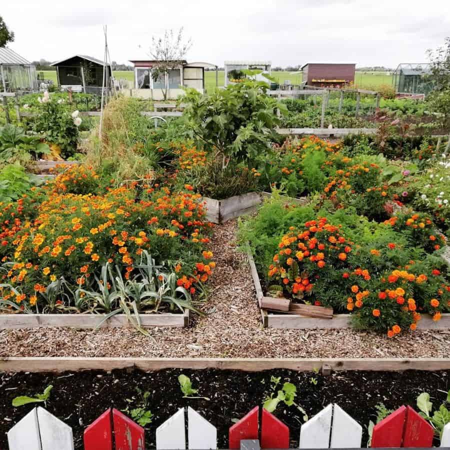 large wood flower beds farm
