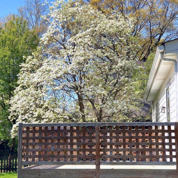 lattice work wood deck railing