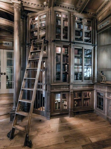 Wooden library interior with ladder leading to upper bookshelves filled with books
