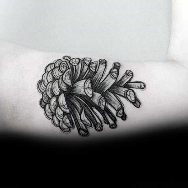 Wood Pine Cone Mens Arm Tattoos