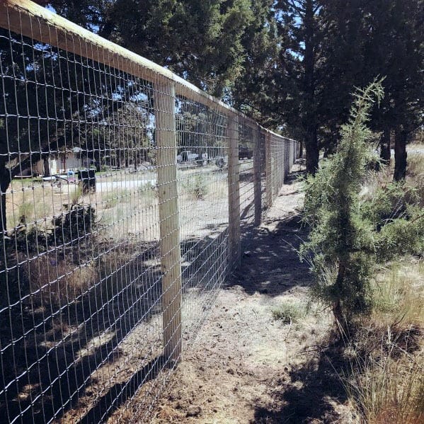 A fence with wooden posts runs parallel to a dirt path, surrounded by trees and shrubs