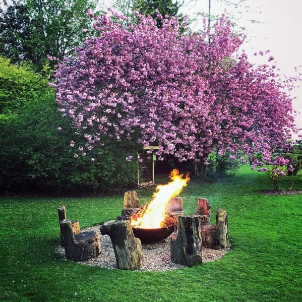 A large fire pit surrounded by wooden stumps is set beneath a blossoming pink cherry tree in a lush green garden