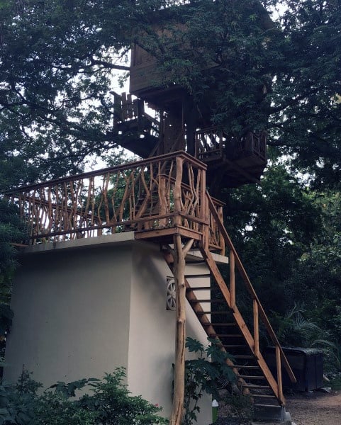 A wooden treehouse with a staircase and railing, surrounded by lush green trees