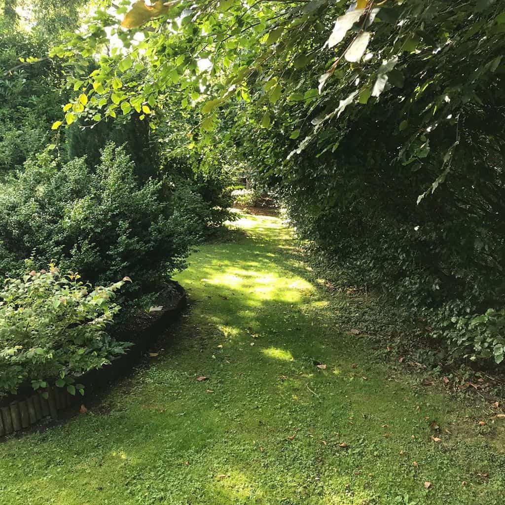 woodland shade garden 