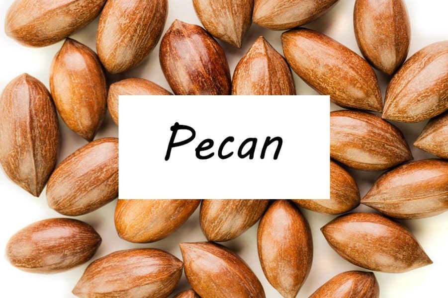 word pecan 