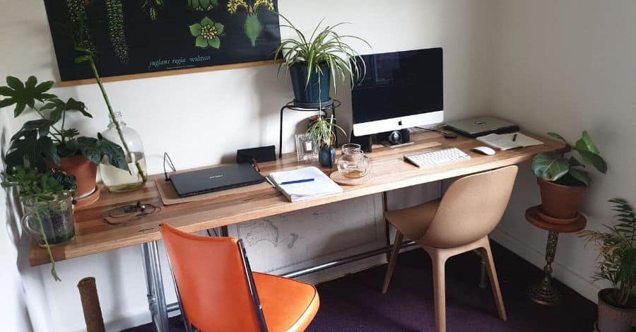 modern work desk setup pot plants