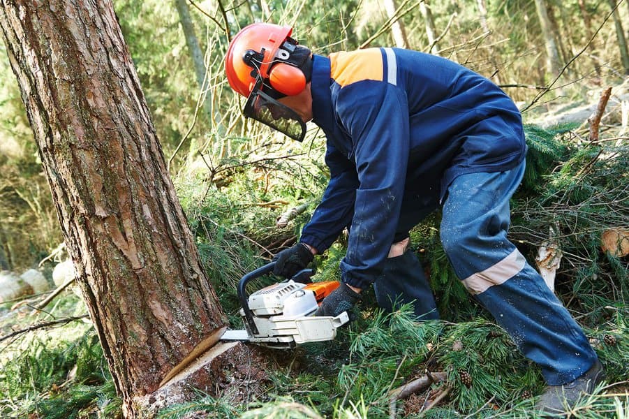 worker in protective gear cutting firewood
