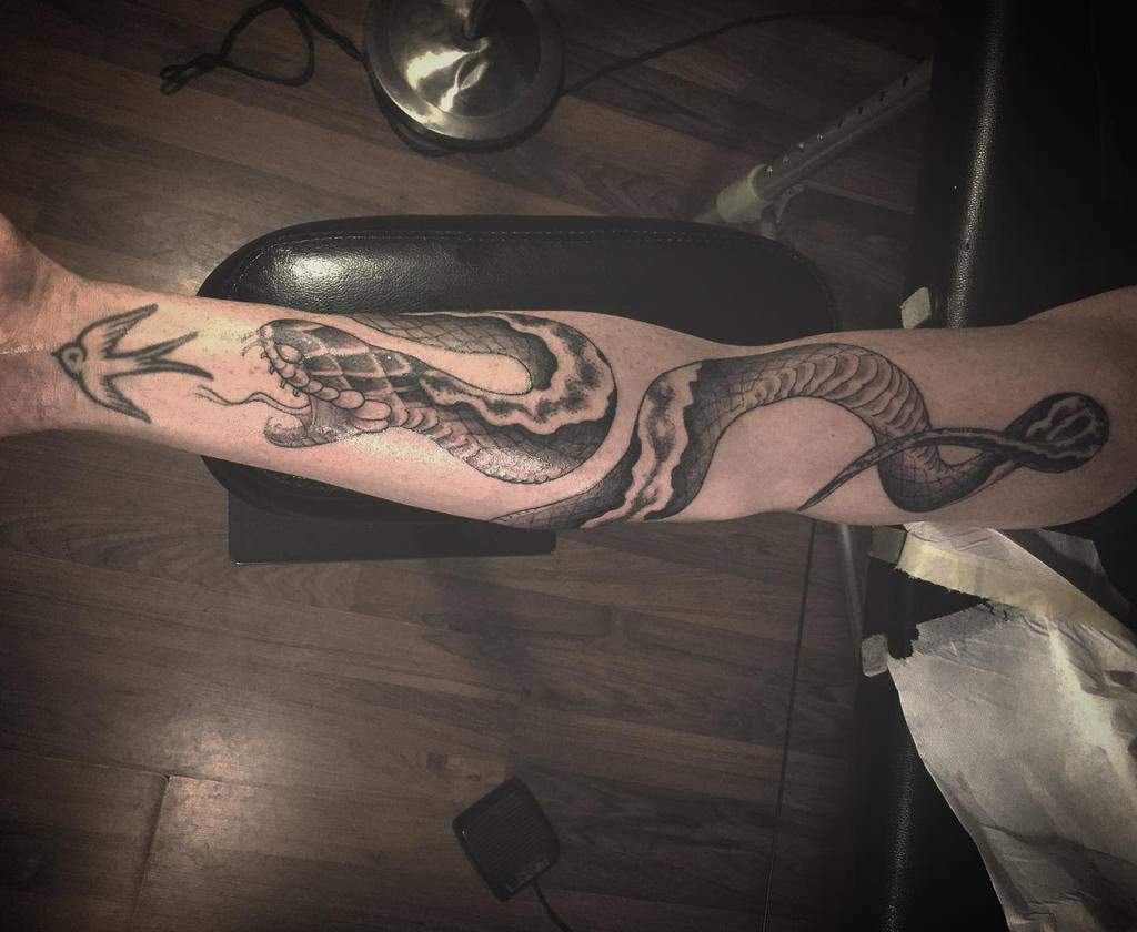 Forearm with a detailed snake and bird tattoo design
