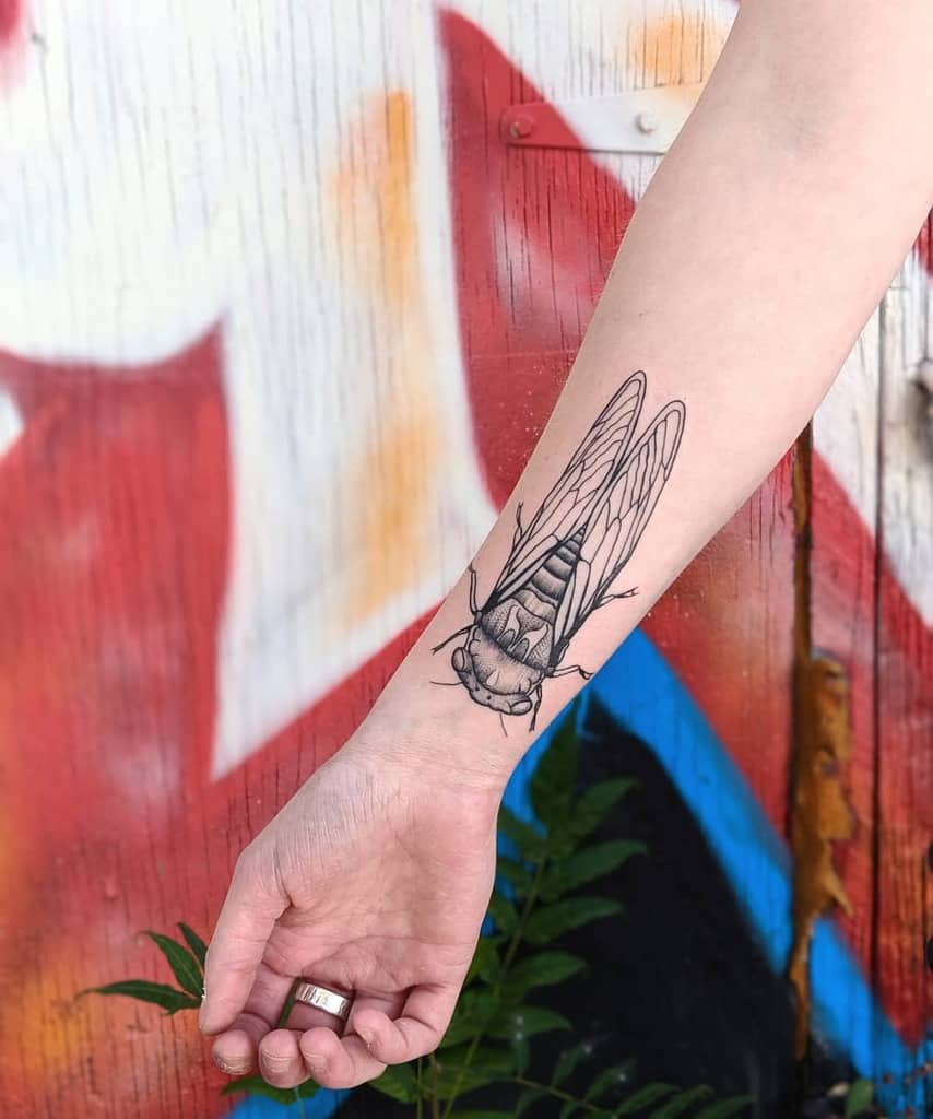 Wrist tattoo of a detailed cicada