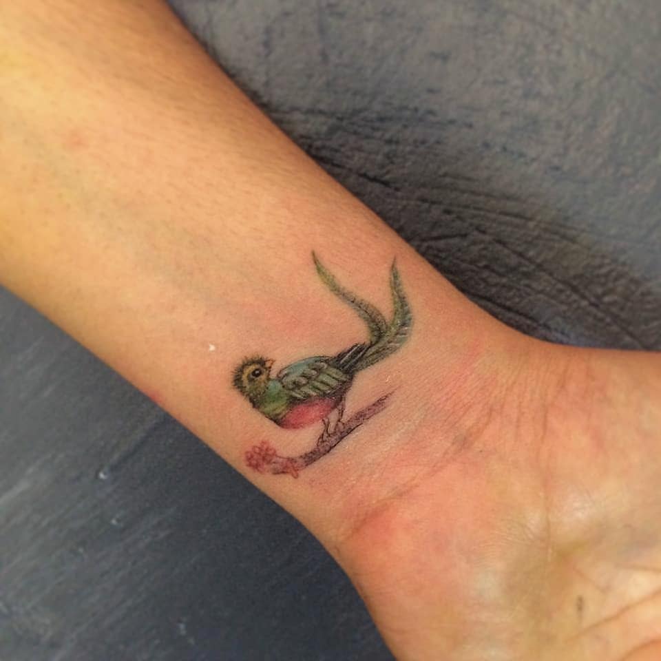 Tattoo of a vibrant quetzal perched on a wrist, featuring green, blue, and red hues