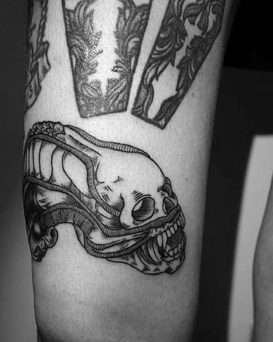 Blackwork Xenomorph skull tattoo blending alien and human skeletal features with clean linework and bold shading on the forearm.