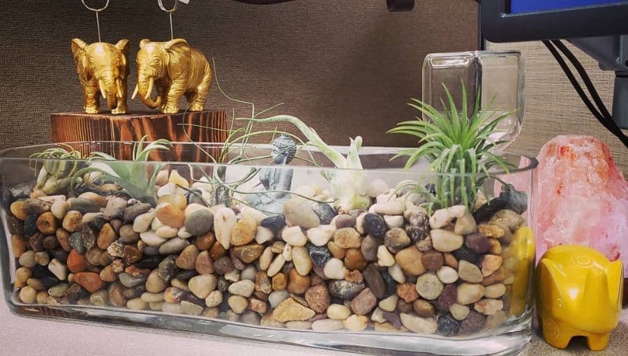 zen office garden buddha statue 