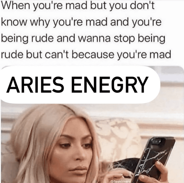 zodiac-signs-memes-2