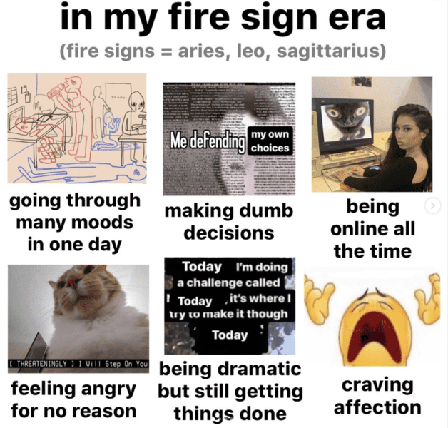 zodiac-signs-memes-21