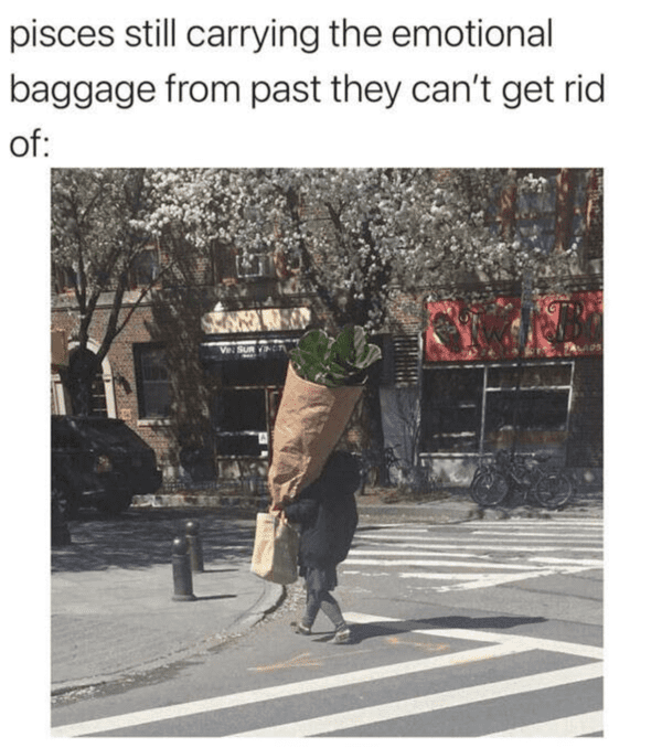 zodiac-signs-memes-9